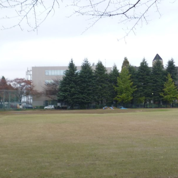 新十余二第一公園多目的広場（野球場）