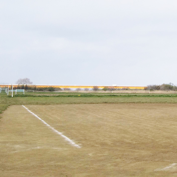 柏市利根運動場