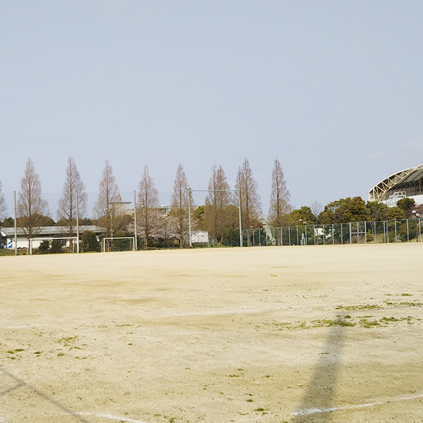 柏市柏の葉公園運動場